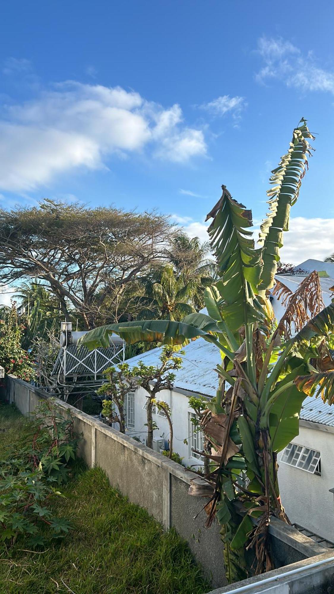 Coastal View Apartment Grand Baie Exterior foto